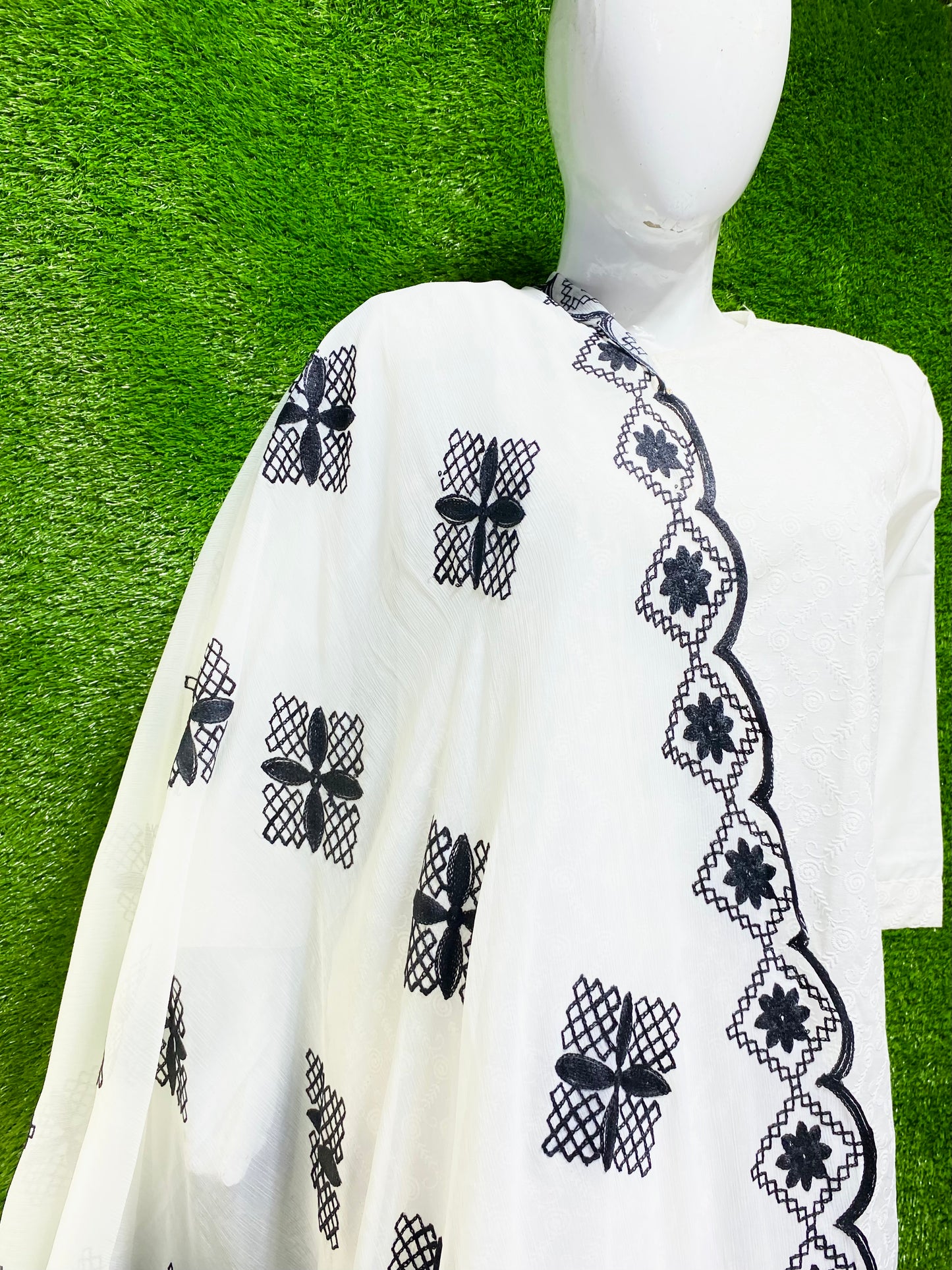 Embroidered Chiffon dupatta (D_3)