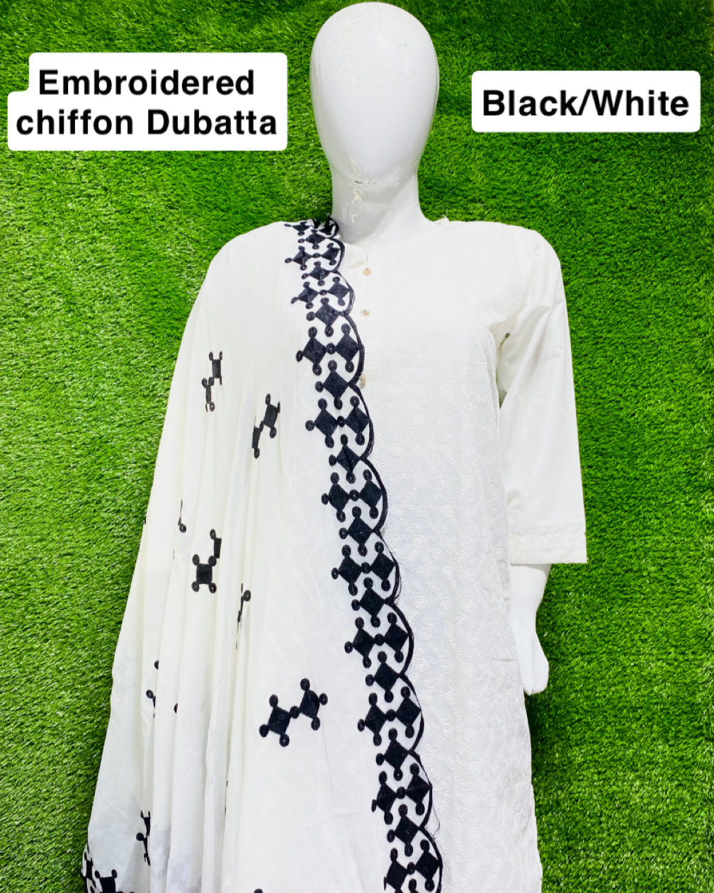 Embroidered Chiffon dupatta (D_1)